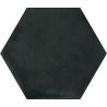 Acuarela nuit noir